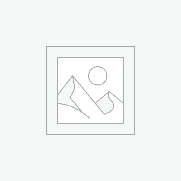 Rothco Molle Plate Carrier Vest